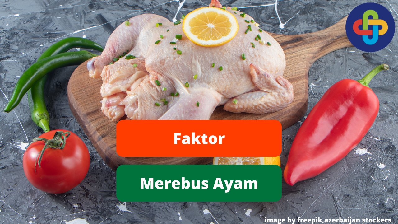Faktor Yang Berpengaruh Terhadap Rebusan Ayam